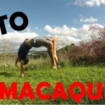 Tuto Macaque : Le flip des singes !