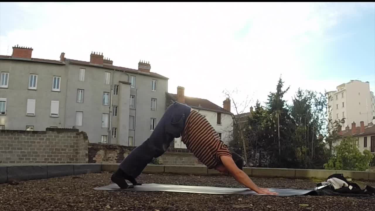 chien couché yoga