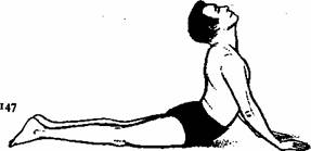 Bhujangasana